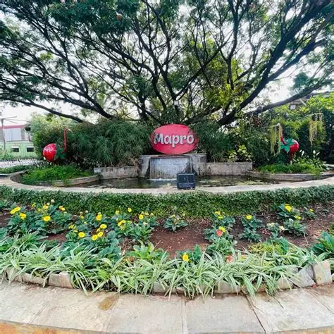 Mahabaleshwar – Panchgani Local full Day Sightseeing Tour Package